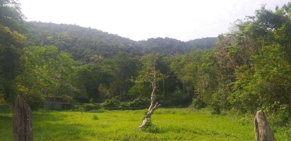 Terreno, 2 hectares - Foto 7