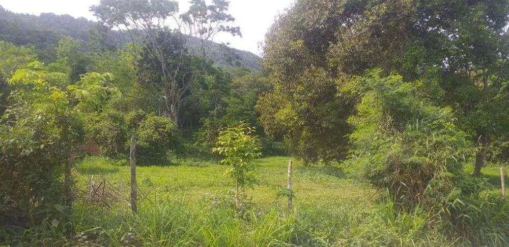 Terreno, 2 hectares - Foto 12