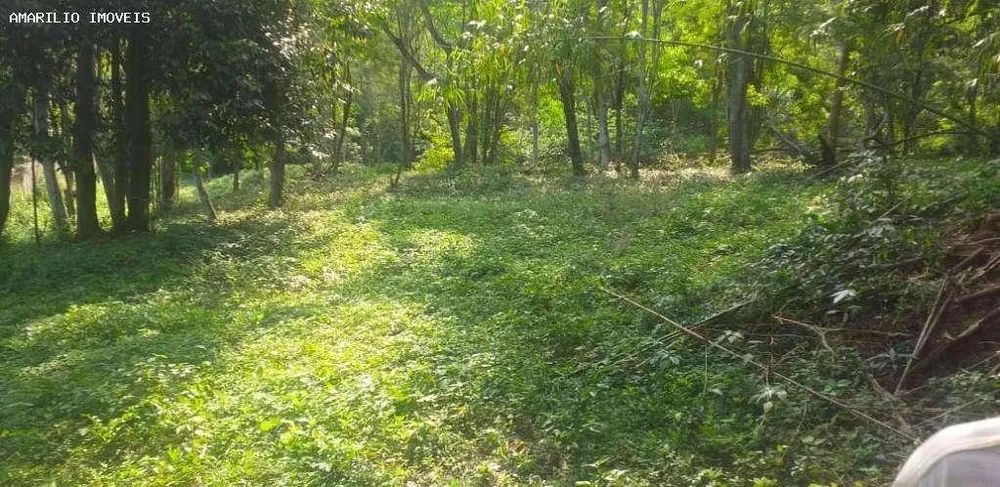 Terreno, 2 hectares - Foto 2