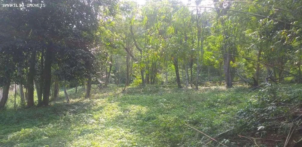 Terreno, 2 hectares - Foto 4