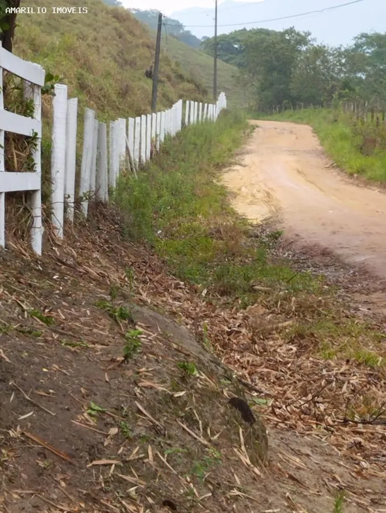 Chácara, 15 hectares - Foto 7