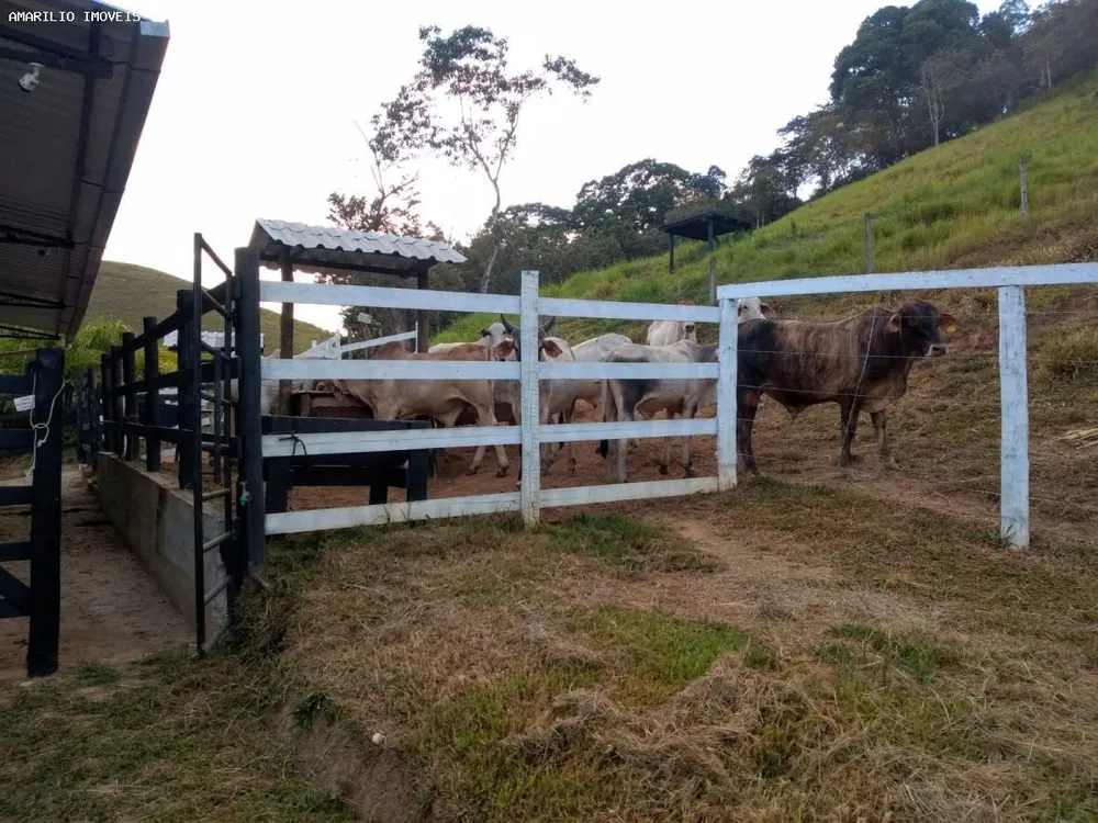Chácara, 15 hectares - Foto 16