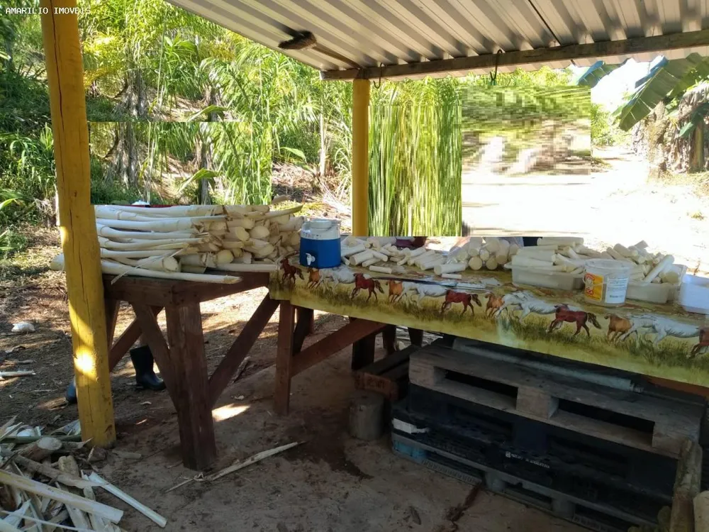 Chácara, 15 hectares - Foto 12