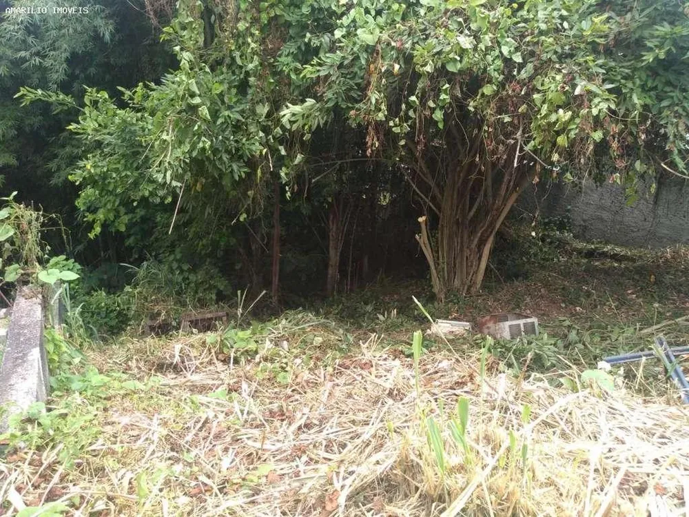 Prédio Inteiro, 675 m² - Foto 6