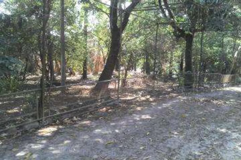 Terreno, 1717 m² - Foto 1