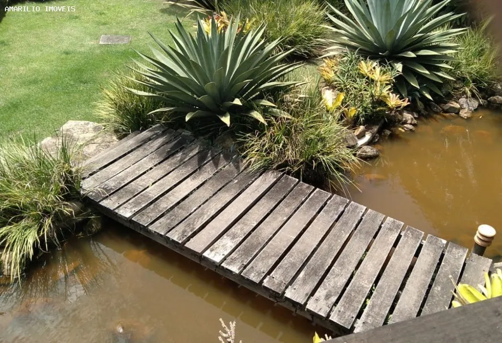 Fazenda, 45 hectares - Foto 38