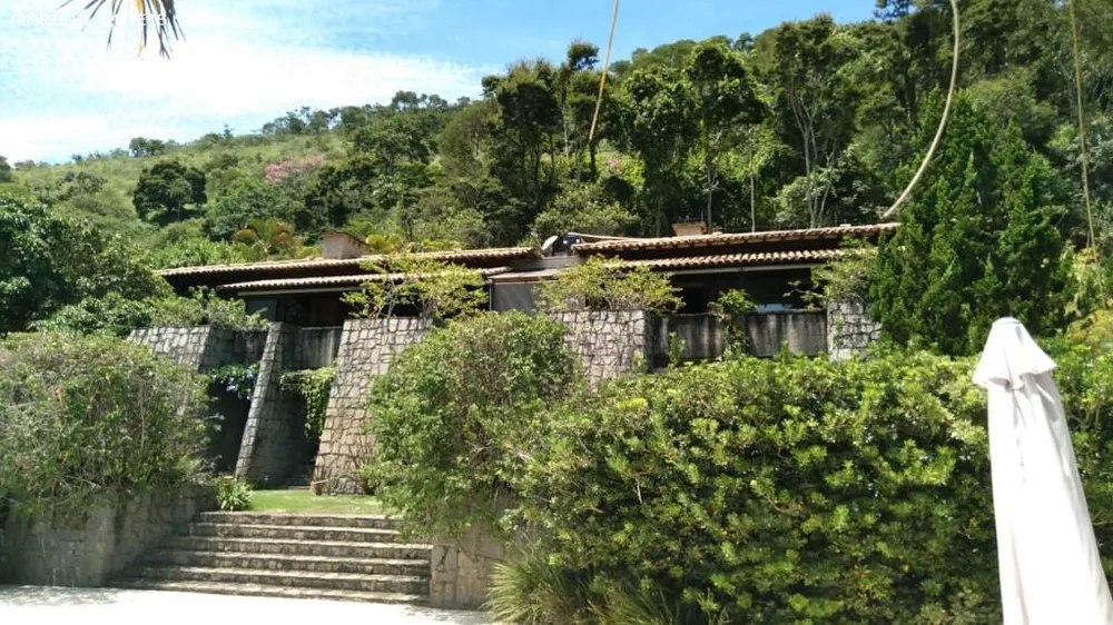 Fazenda, 45 hectares - Foto 2