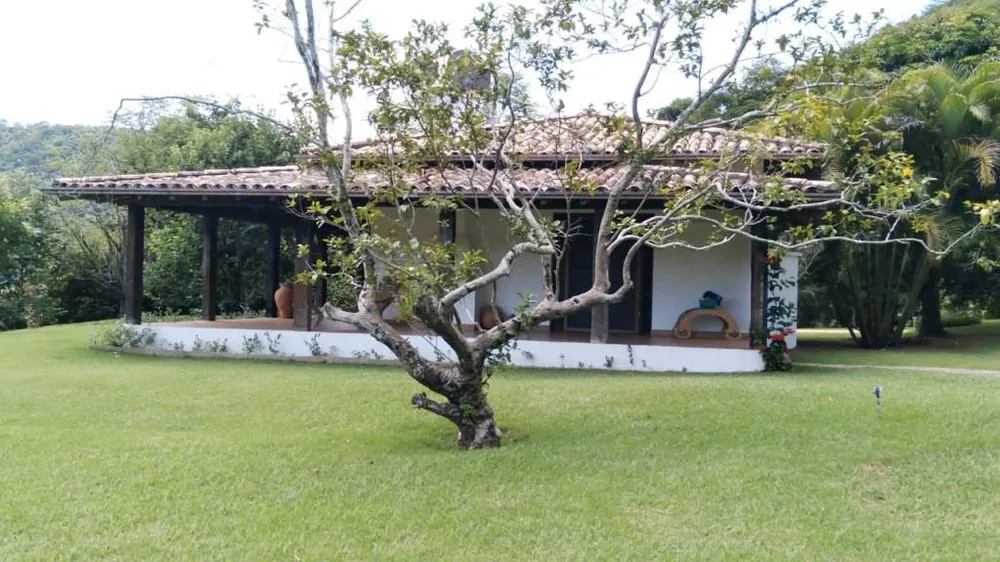 Fazenda, 45 hectares - Foto 43