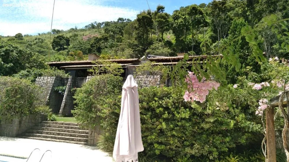 Fazenda, 45 hectares - Foto 3