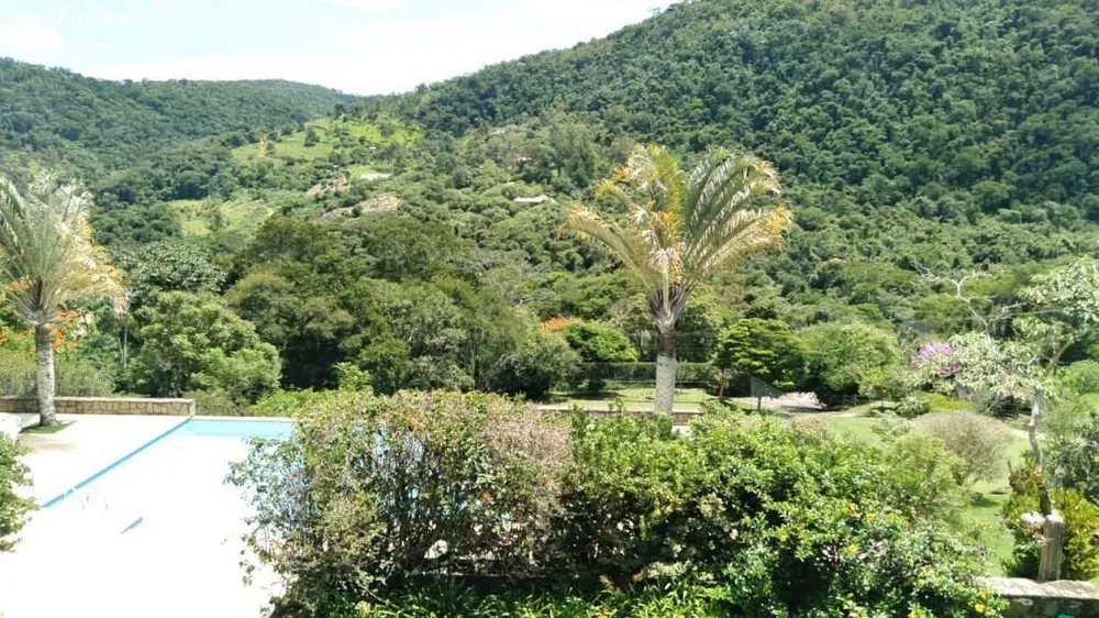 Fazenda, 45 hectares - Foto 31
