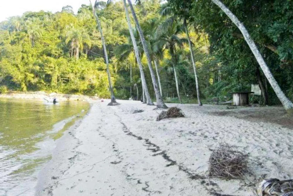 Casa, 3 quartos, 180 m² - Foto 28