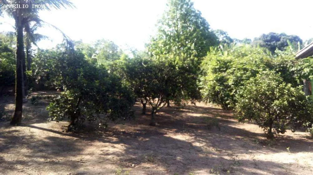 Sítio, 2 quartos, 2560 m² - Foto 18