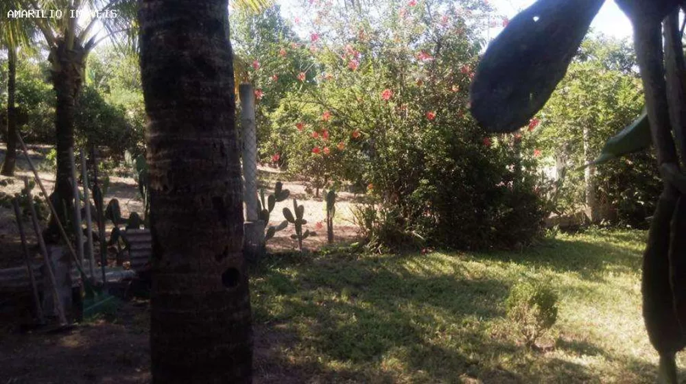 Sítio, 2 quartos, 2560 m² - Foto 26