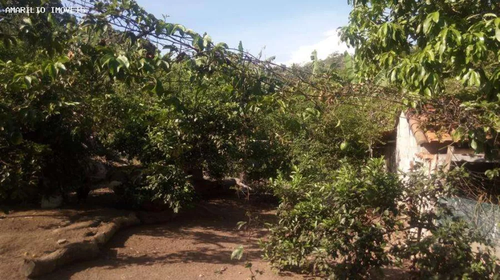 Sítio, 2 quartos, 2560 m² - Foto 22