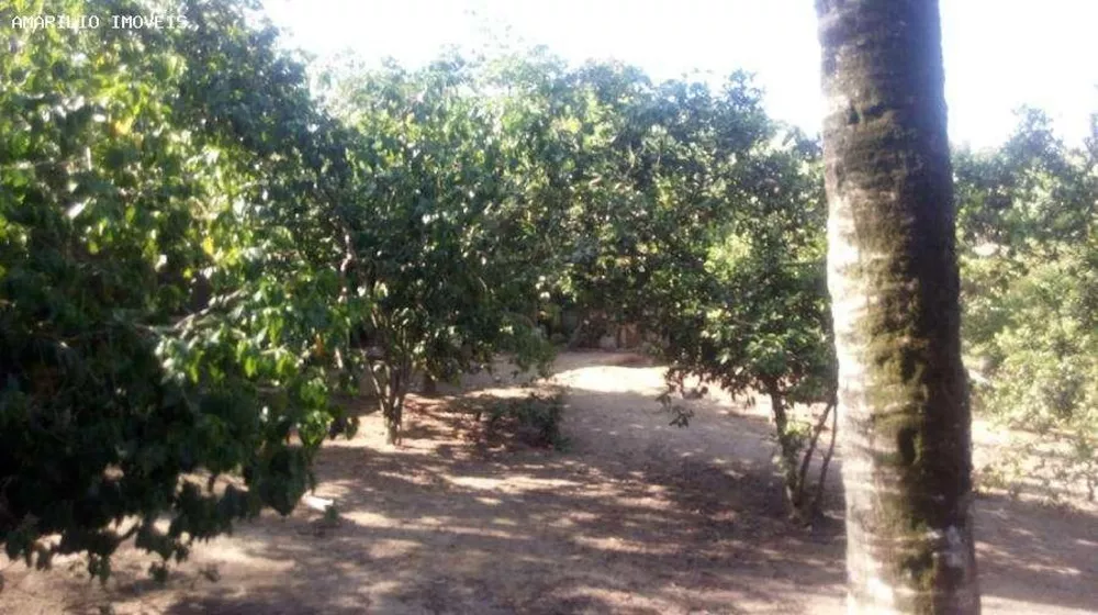 Sítio, 2 quartos, 2560 m² - Foto 20