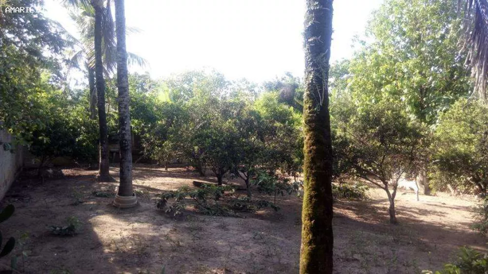 Sítio, 2 quartos, 2560 m² - Foto 19