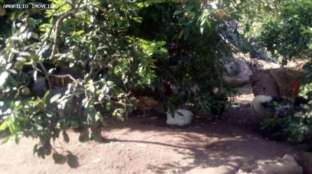 Sítio, 2 quartos, 2560 m² - Foto 23