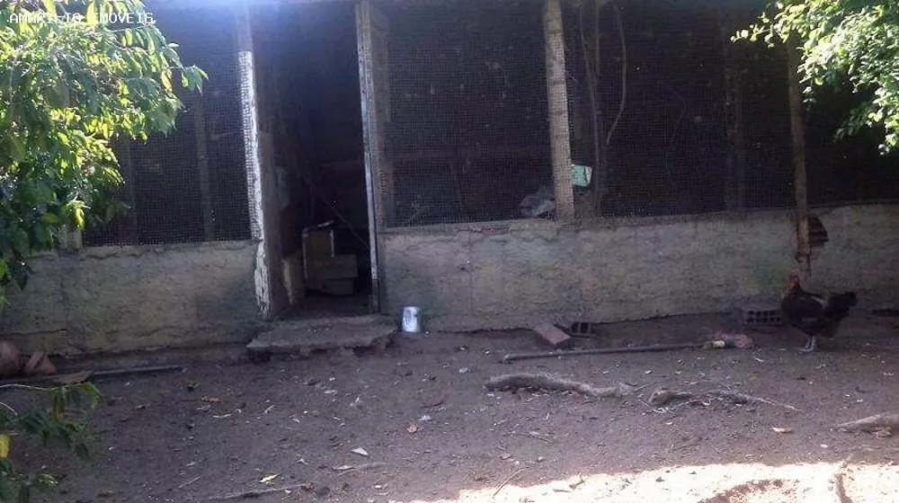 Sítio, 2 quartos, 2560 m² - Foto 24