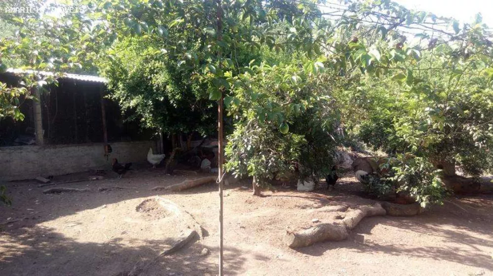 Sítio, 2 quartos, 2560 m² - Foto 21