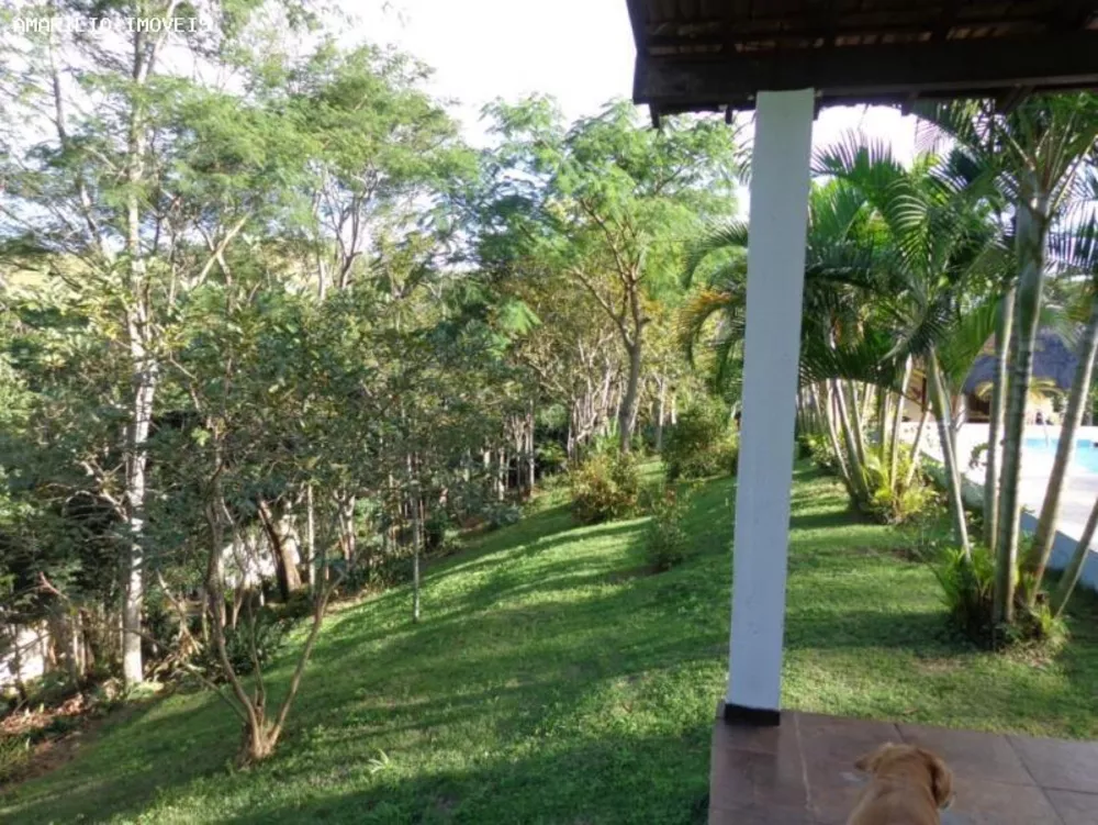 Sítio, 3 quartos, 6 hectares - Foto 12