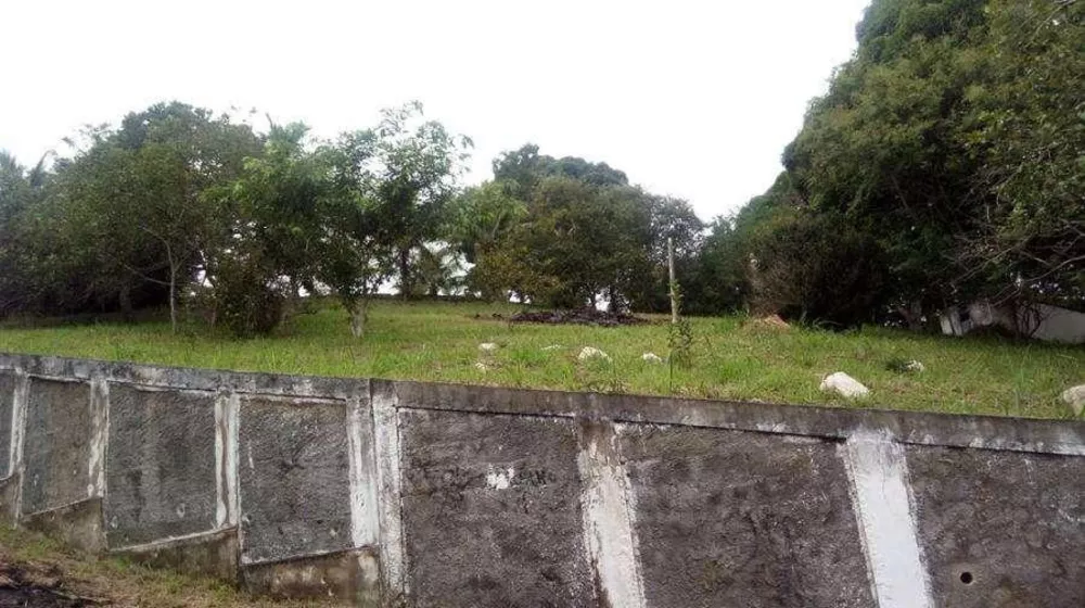 Sítio, 4 quartos, 3185 m² - Foto 27