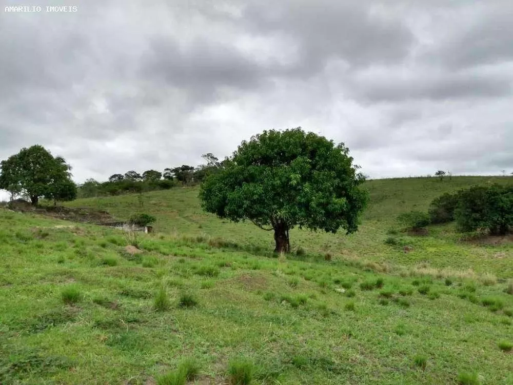 Terreno à venda, 40000m² - Foto 4