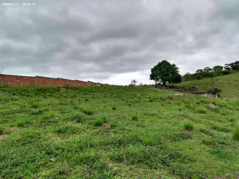 Terreno à venda, 40000m² - Foto 3