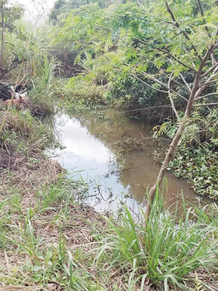 Chácara, 1 quarto, 4 hectares - Foto 20