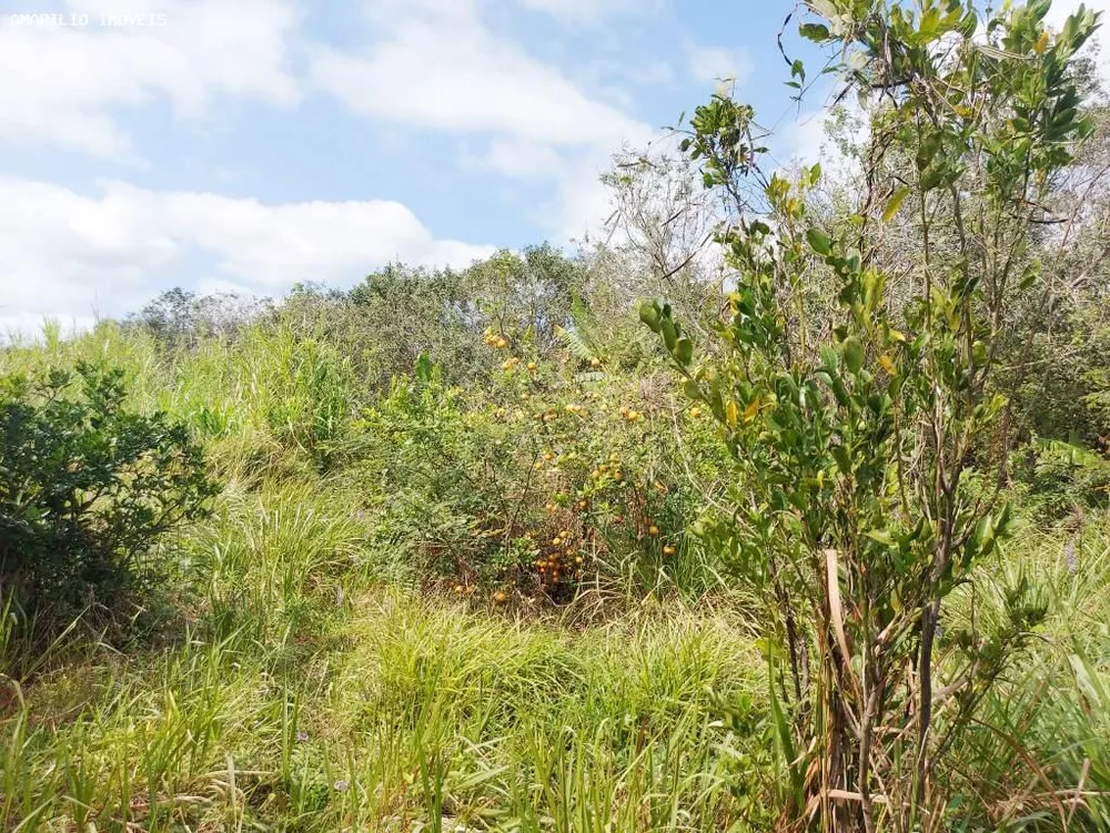 Chácara, 1 quarto, 4 hectares - Foto 19