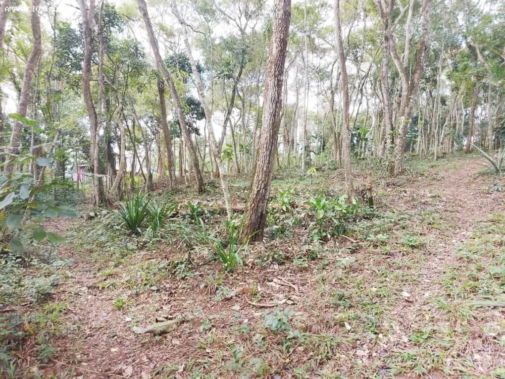 Chácara, 1 quarto, 4 hectares - Foto 23