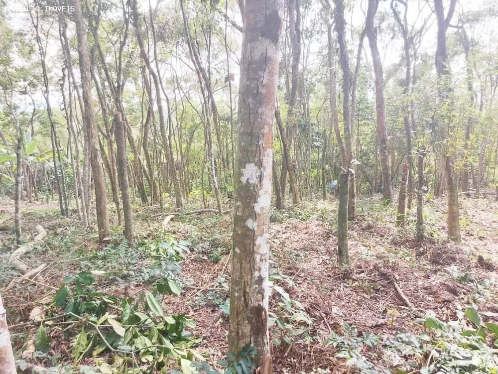 Chácara, 1 quarto, 4 hectares - Foto 21