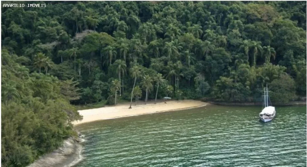 Casa, 5 quartos, 800 m² - Foto 7