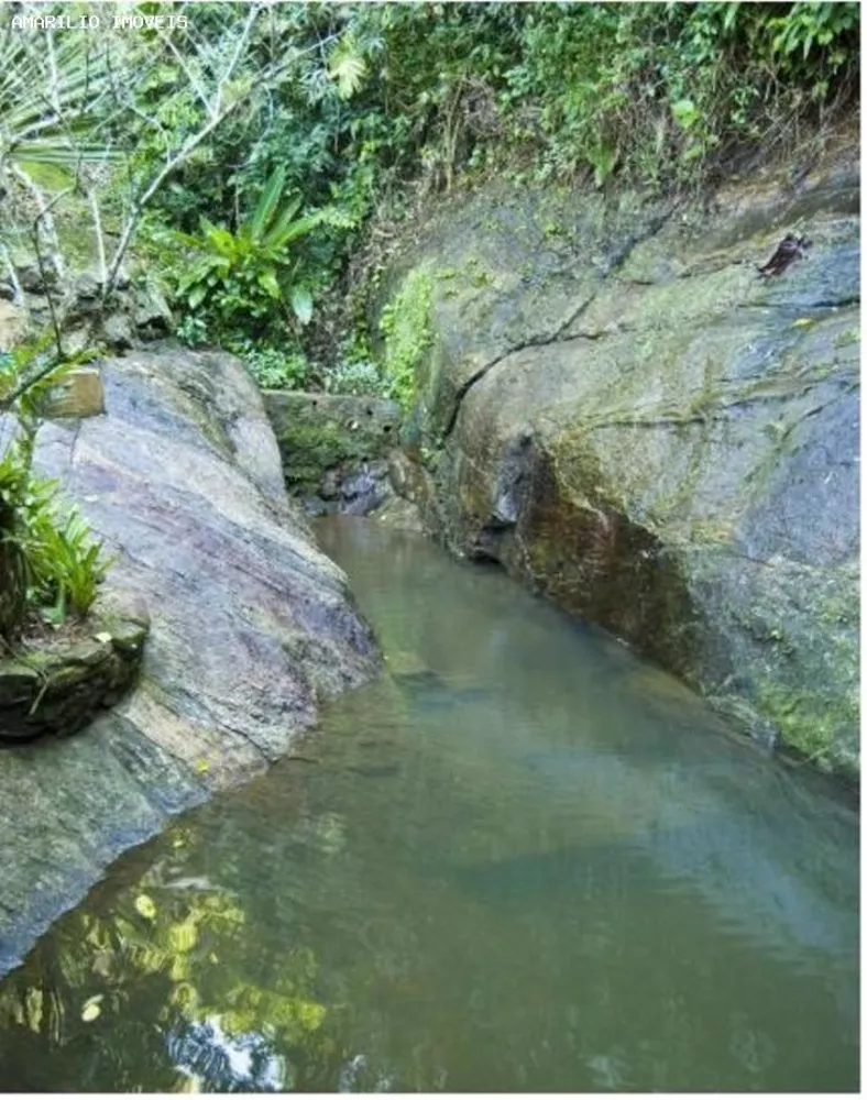 Casa, 5 quartos, 800 m² - Foto 50