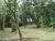Sítio, 5 quartos, 17 hectares - Foto 2