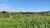 Terreno, 2 hectares - Foto 2