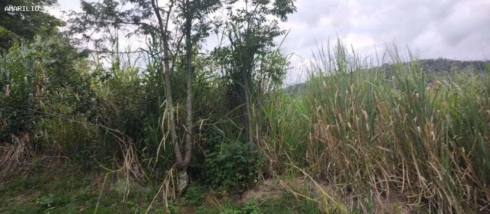 Terreno, 1600 m² - Foto 1