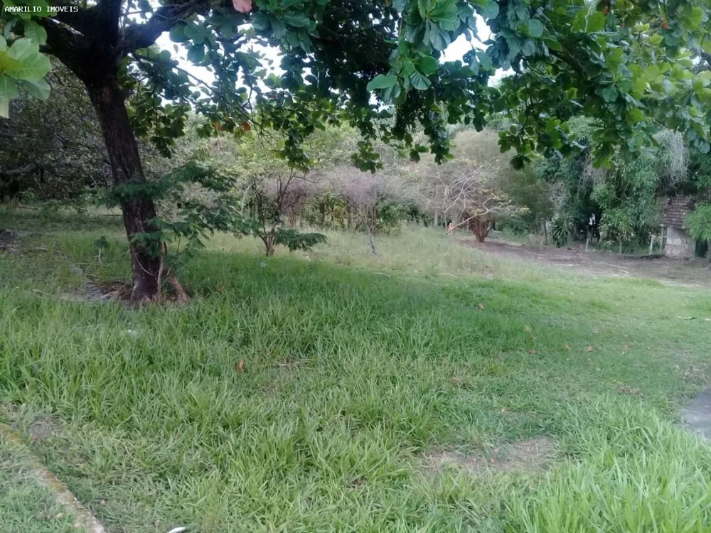 Terreno, 7000 m² - Foto 2