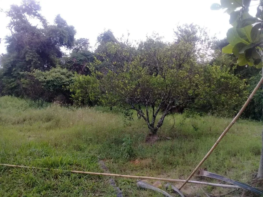 Terreno, 7000 m² - Foto 6