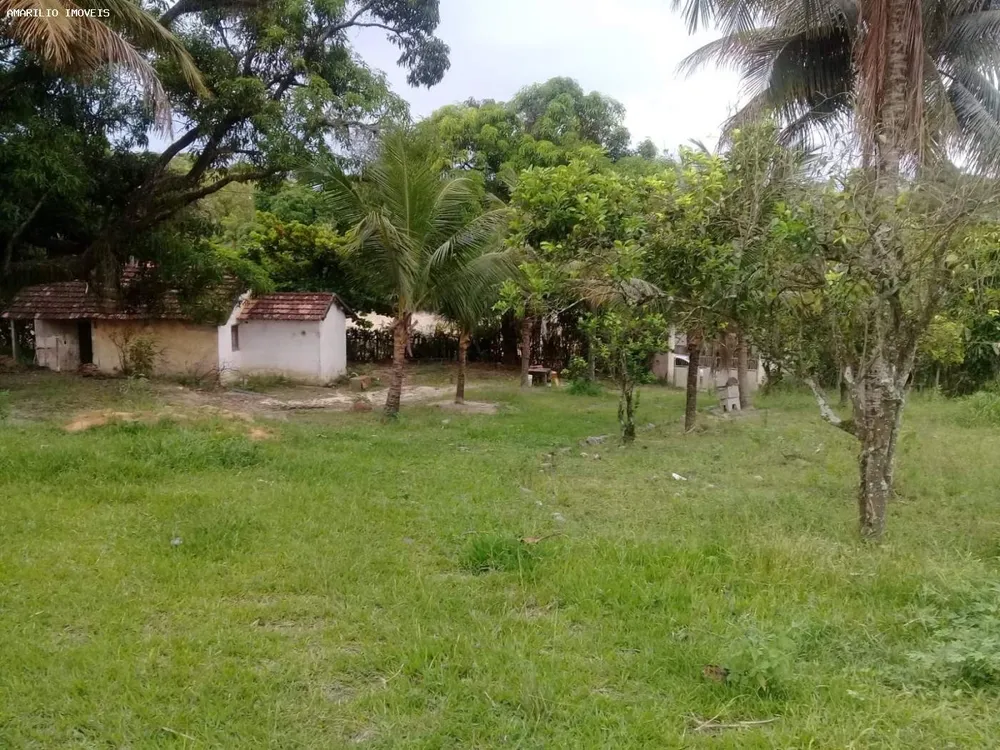 Terreno, 7000 m² - Foto 7