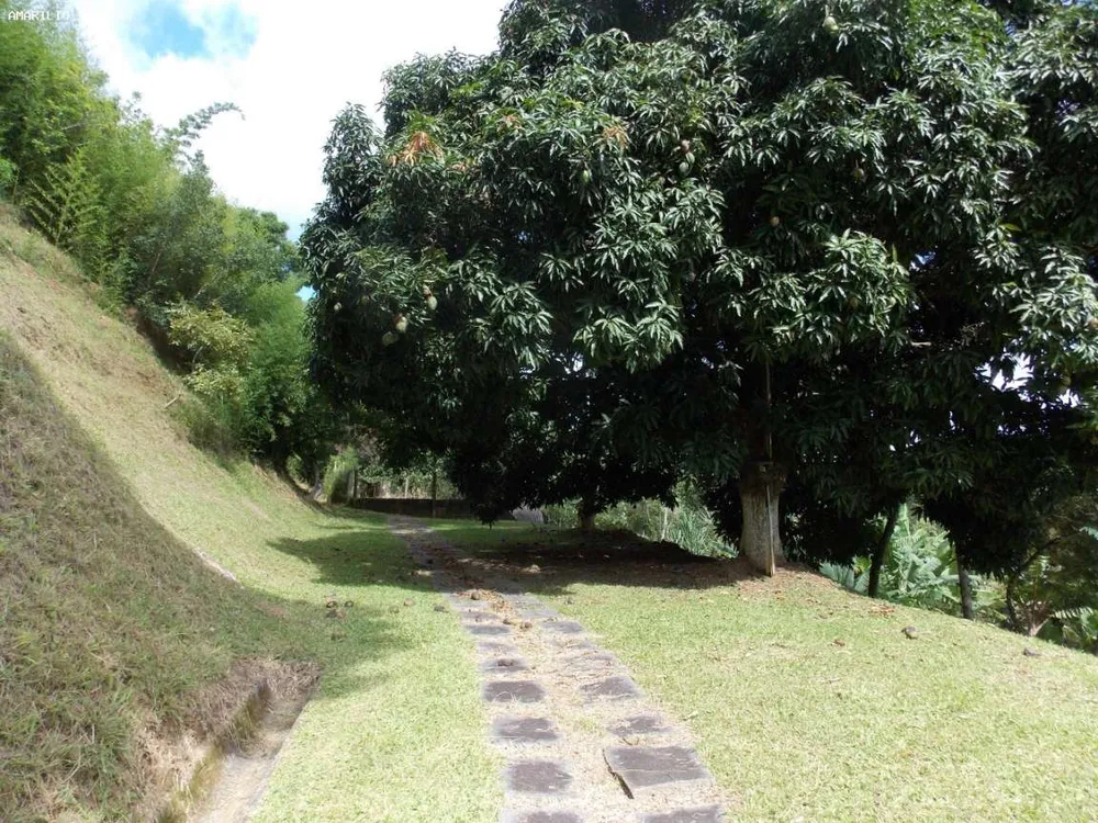 Sítio, 4 quartos, 2 hectares - Foto 28