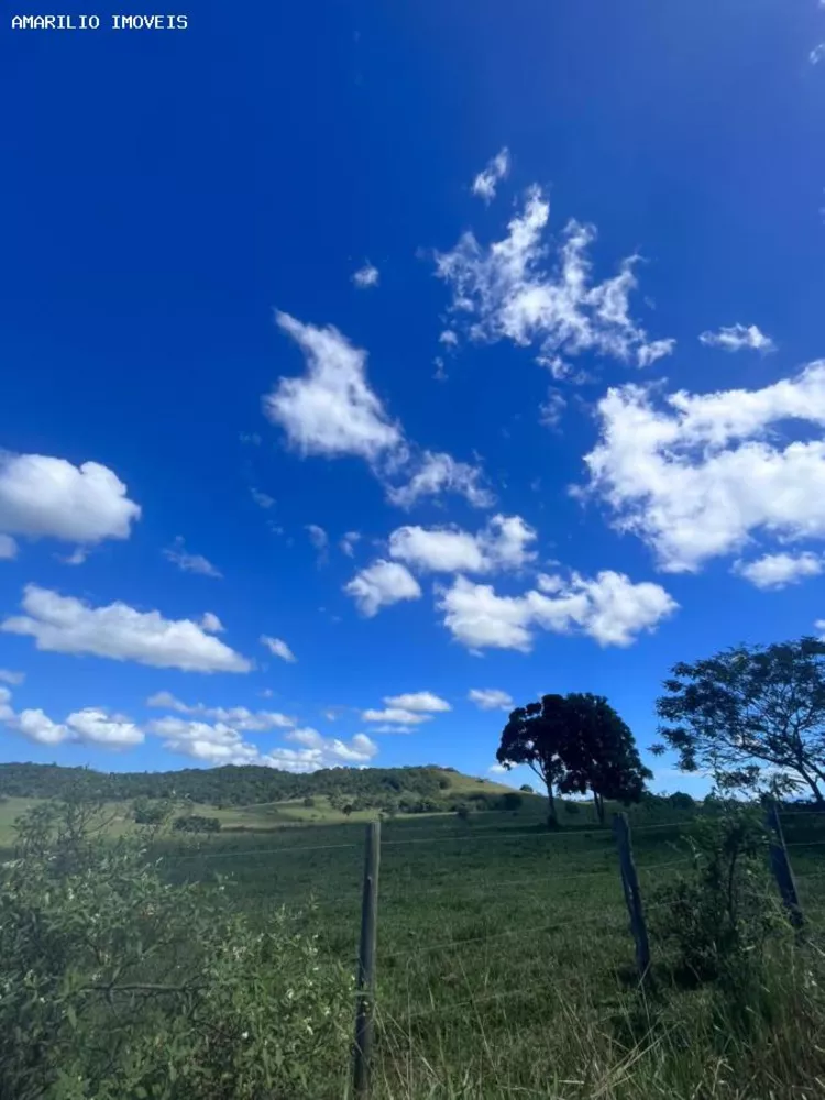 Fazenda-Sítio-Chácara, 252 hectares - Foto 17