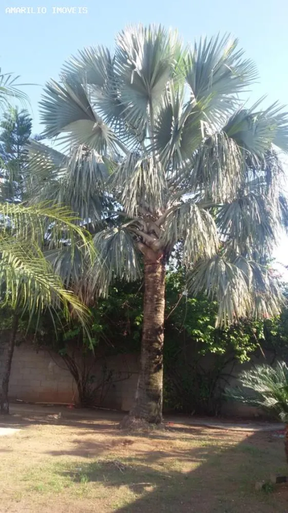 Depósito-Galpão, 1517 m² - Foto 38