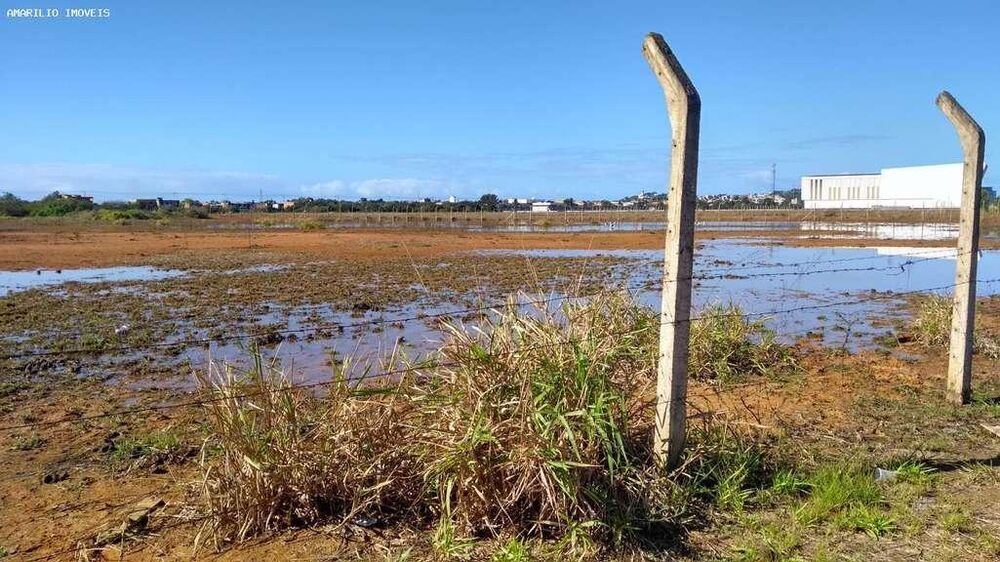 Terreno, 6 hectares - Foto 4