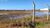 Terreno, 6 hectares - Foto 3