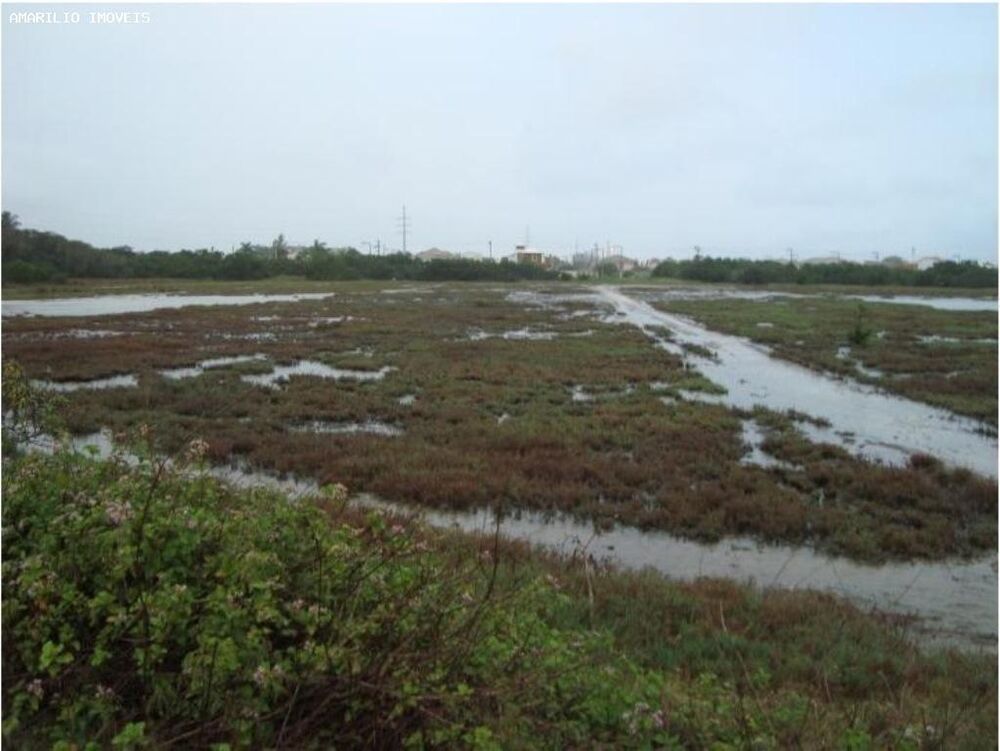 Terreno, 1 hectares - Foto 3