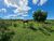 Fazenda, 252 hectares - Foto 2