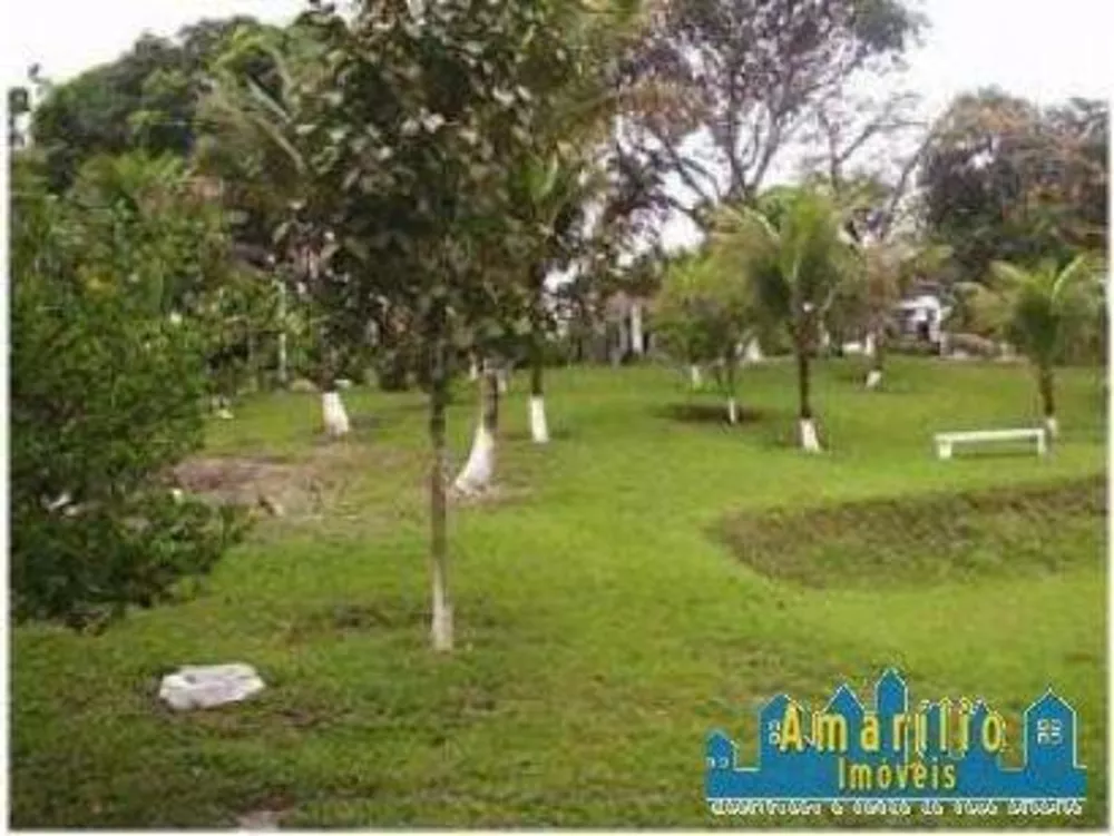 Sítio, 2 hectares - Foto 6