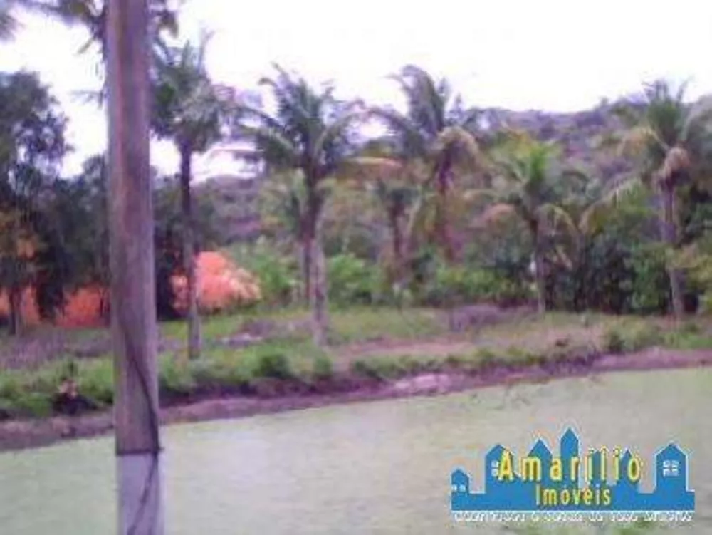 Sítio, 2 hectares - Foto 5