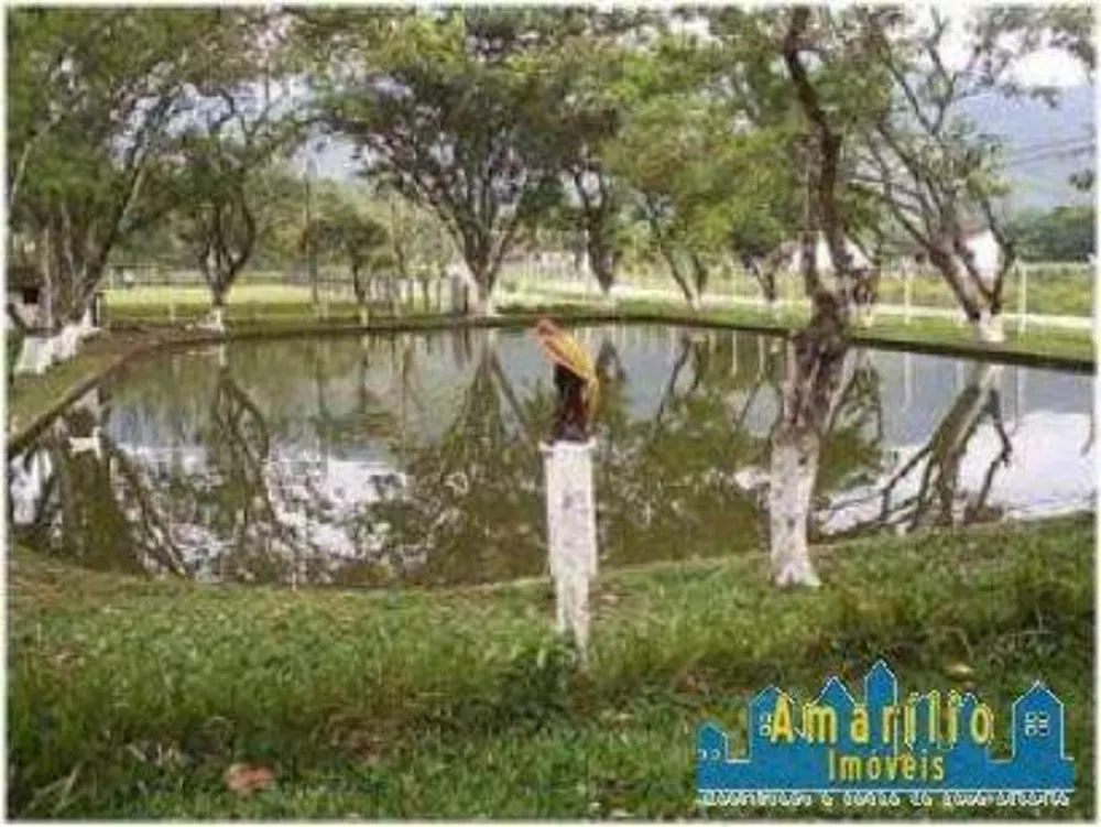 Sítio, 2 hectares - Foto 7