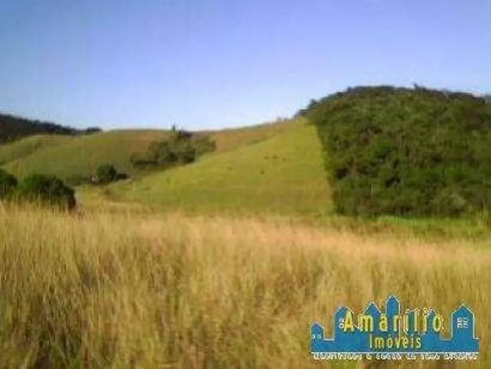 Sítio, 2 hectares - Foto 10